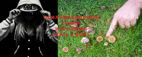 не бодяженный Новодвинск