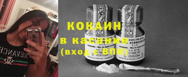 2c-b Новозыбков